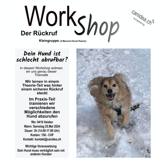 Workshop Der Rückruf