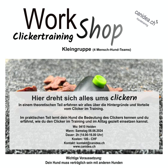Workshop Der Rückruf